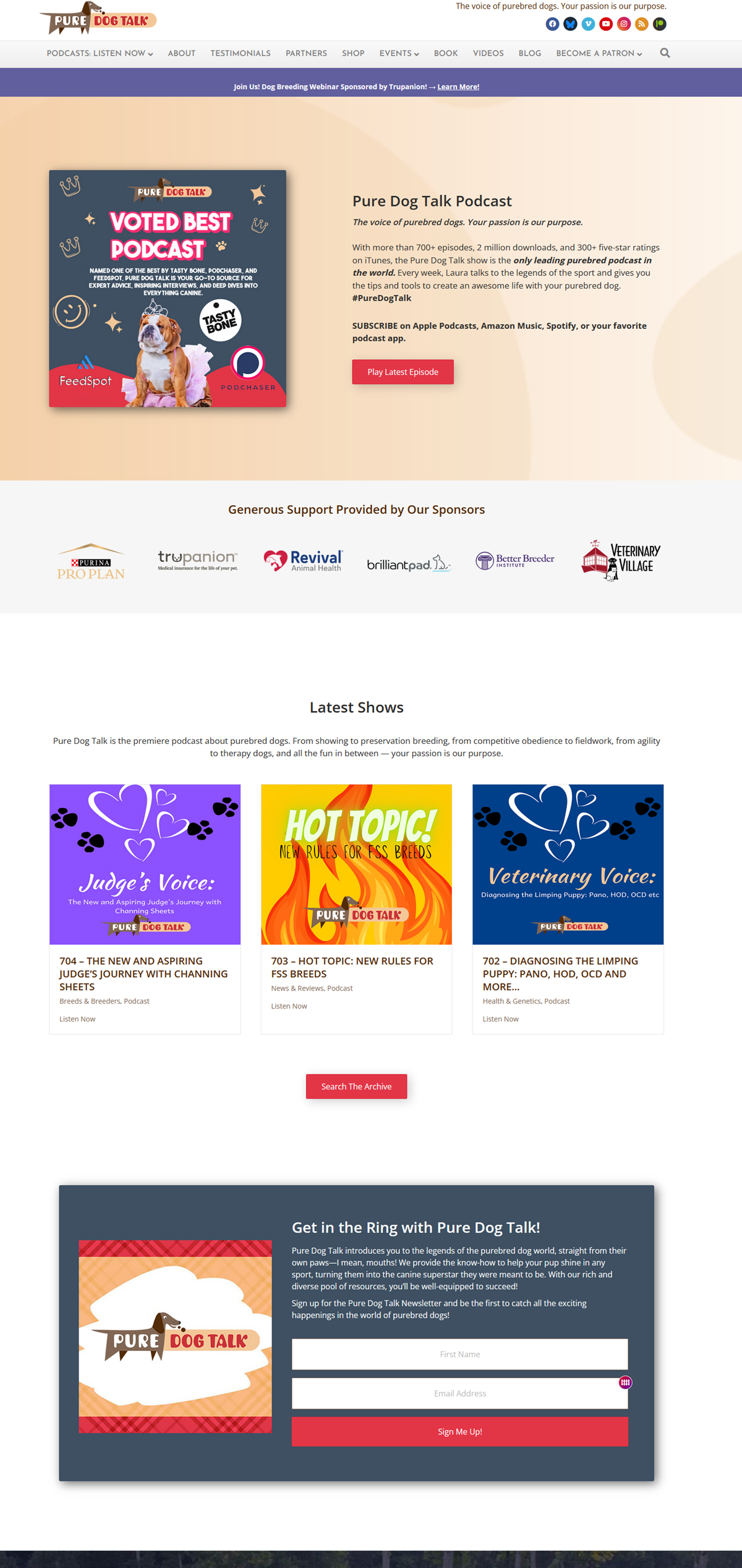PDT website